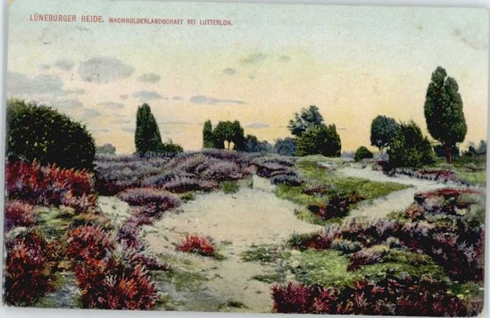 lutterloh