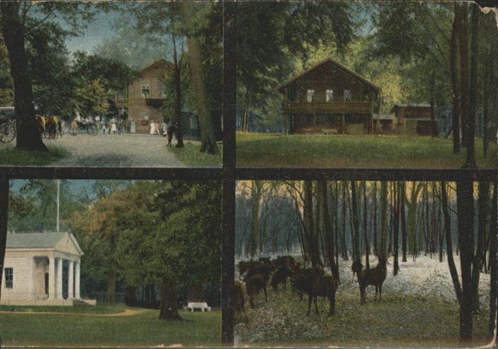 wp70910 Dessau Sieglitzer Berg