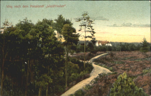 ww22511 Waldfrieden Pensionat x 1913