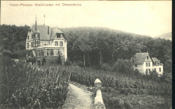 ww25368 Waldfrieden Hotel Pension Dependance o 1910