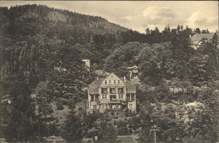 wx24011 Baden-Baden Landhaus Roesch *