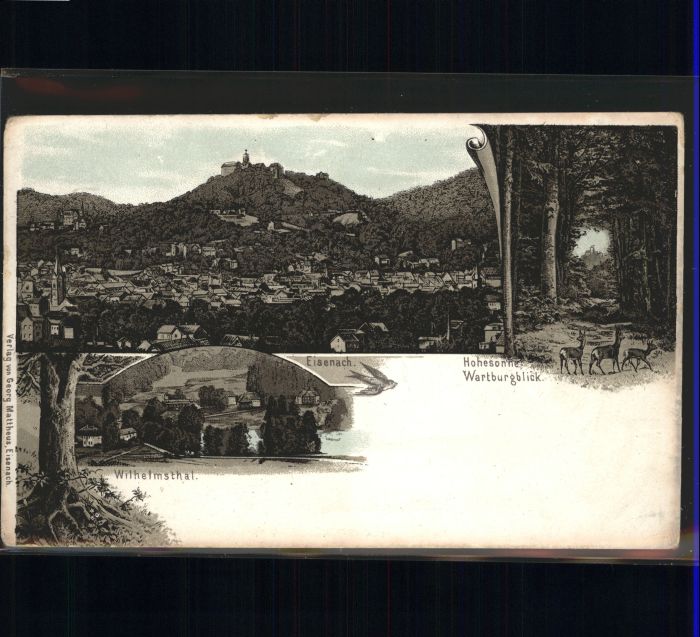 wx42866 Eisenach Thueringen Wilhelmsthal Wartburgblick Reh