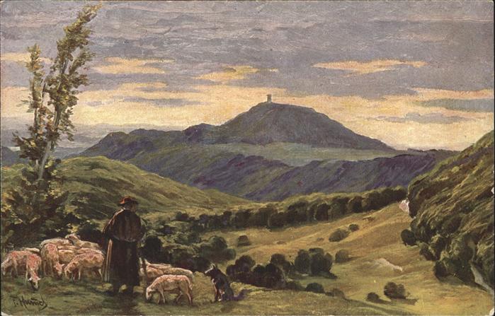 Gentingen Rossberg Schafe