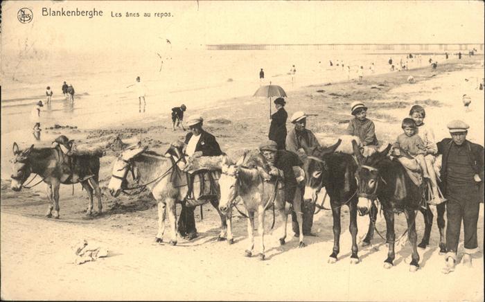 Blankenberghe Les anes au repos