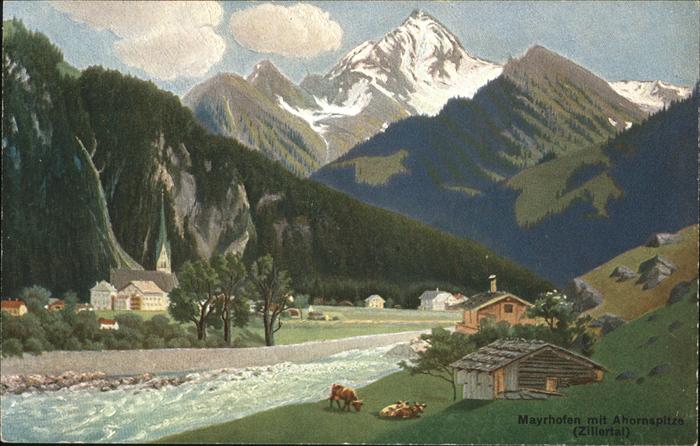 Mayrhofen Zillertal Ahornspitze Kühe