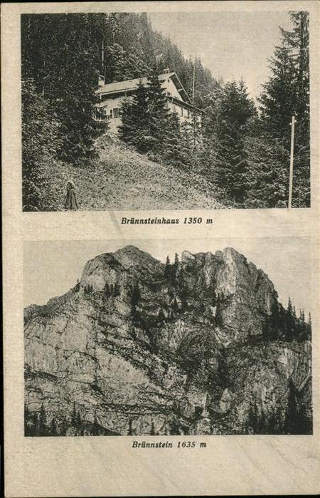 Bruennsteinhaus 350 m