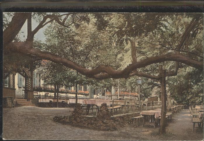 Potsdam Temölin Restaurant Kaffeehaus