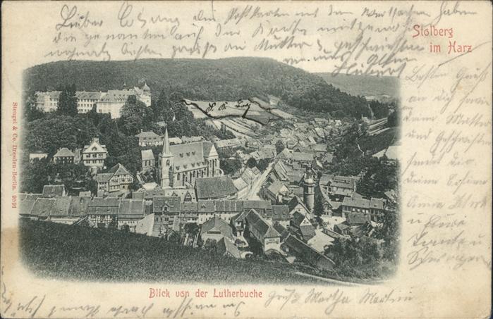 Stolberg Harz Lutherbuche