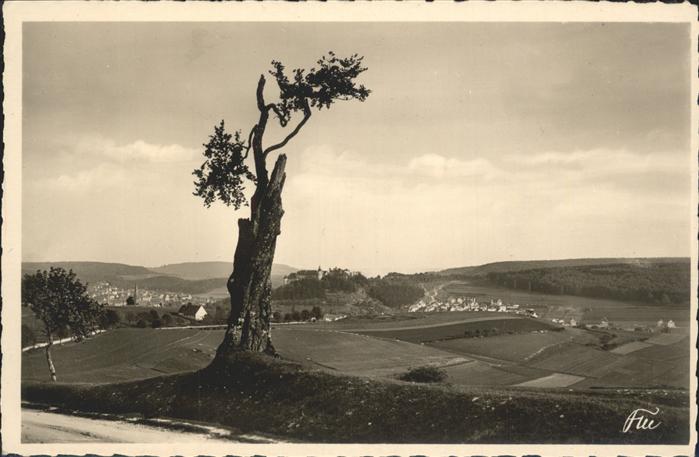 Heidenheim Brenz alte Buche