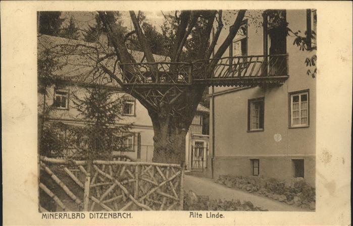 Bad Ditzenbach Alte Linde