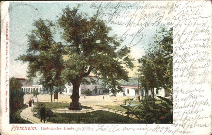 Pforzheim Historische Linde