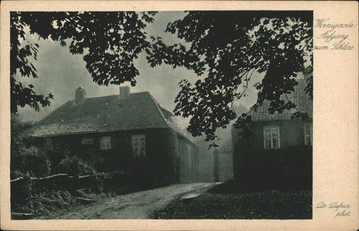 Wernigerode Harz Aufgang Schloss