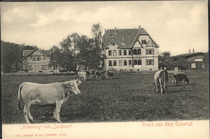 Dresden Eckerkrug und Jungborn