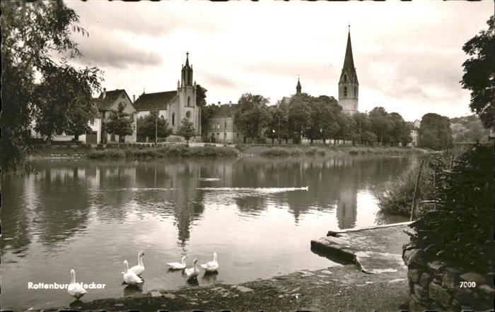 Rottenburg Neckar Schwan