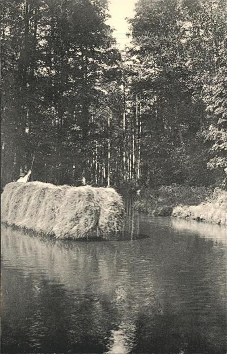 Spreewald Heutransport