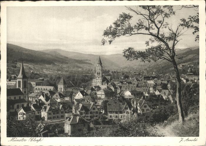 Muenster Haut Rhin Elsass Gesamtansicht