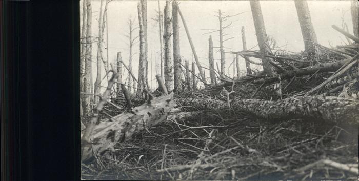 Muenster Haut Rhin Elsass Wald