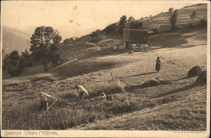 Metzeral Haut Rhin Sillacker Wasen