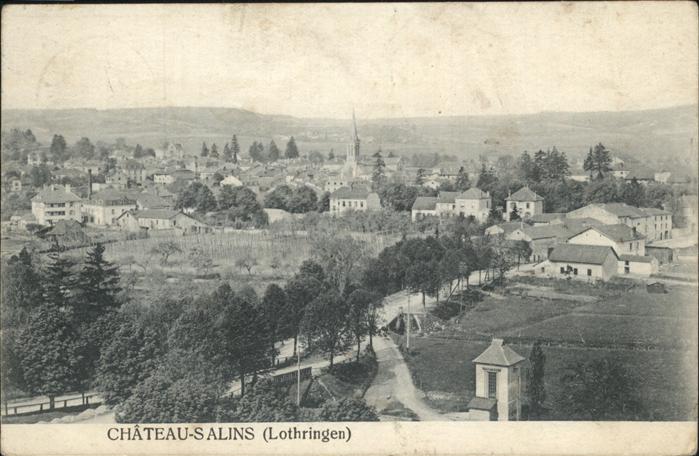 Chateau-Salins Gesamtansicht
