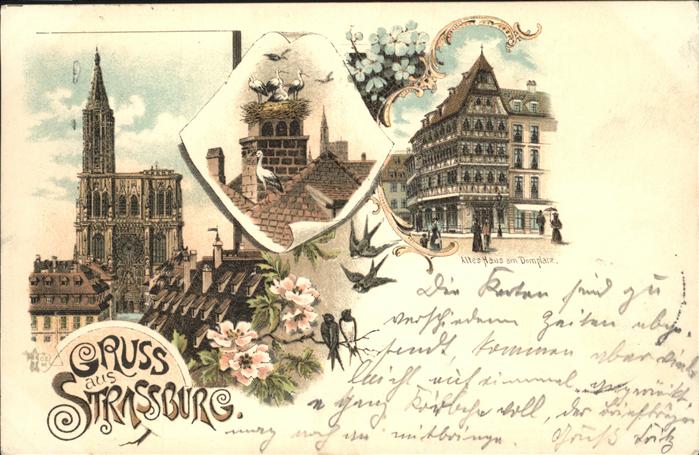 Strasbourg Alsace Domplatz