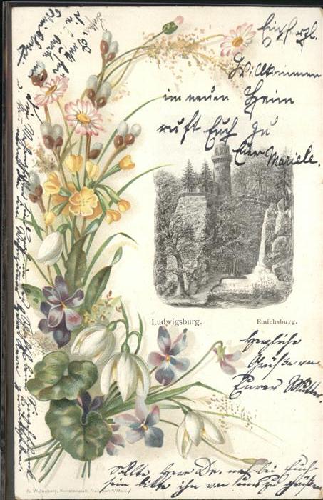 Ludwigsburg Blumen Emichsburg