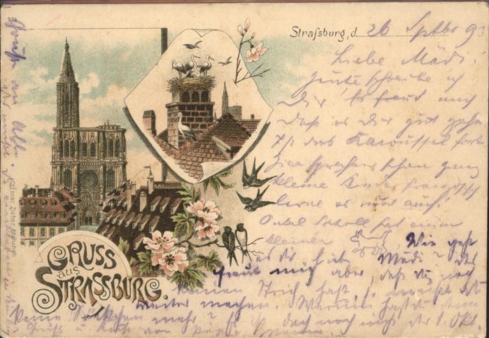 Strasbourg Alsace Storchennest