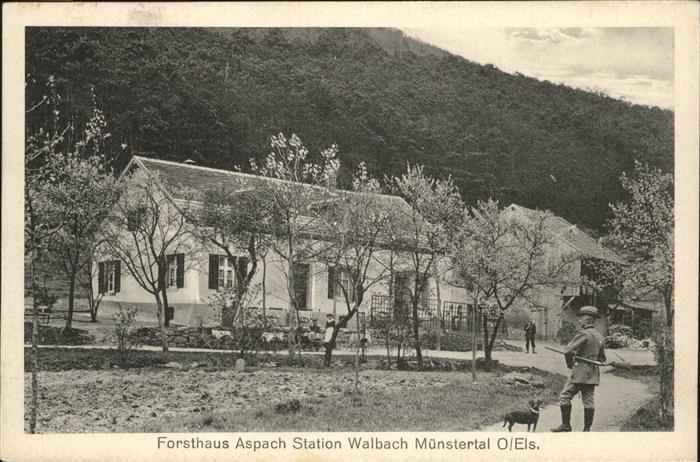 Walbach Forsthaus Aspach Hund