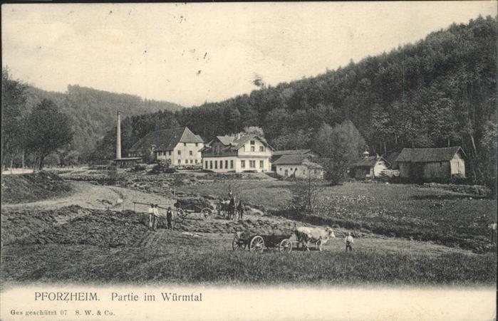 Pforzheim Würmtal Ochsengespann