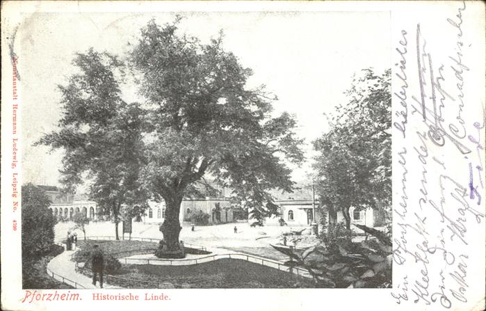 Pforzheim Historische Linde