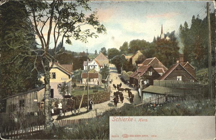 Schierke Harz Kühe auf Dorfstrasse