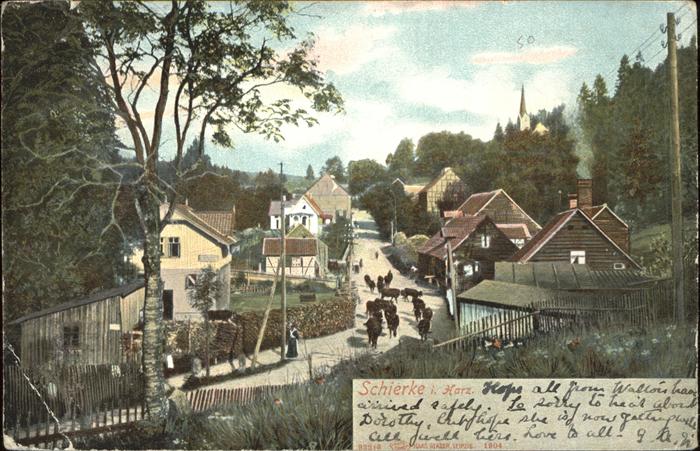 Schierke Harz Kuehe auf Dorfstrasse