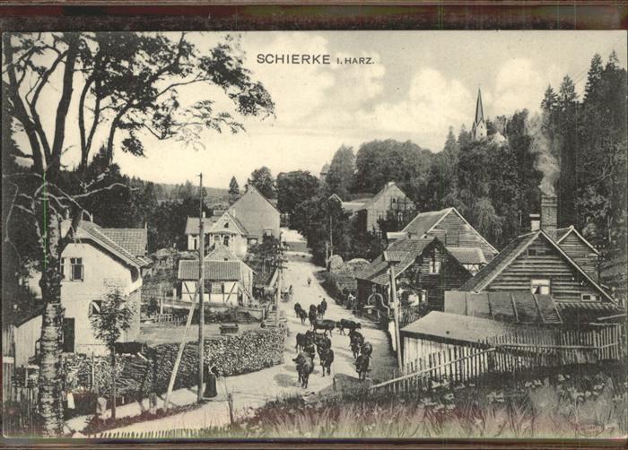 Schierke Harz Vietrieb auf Dorfstrasse