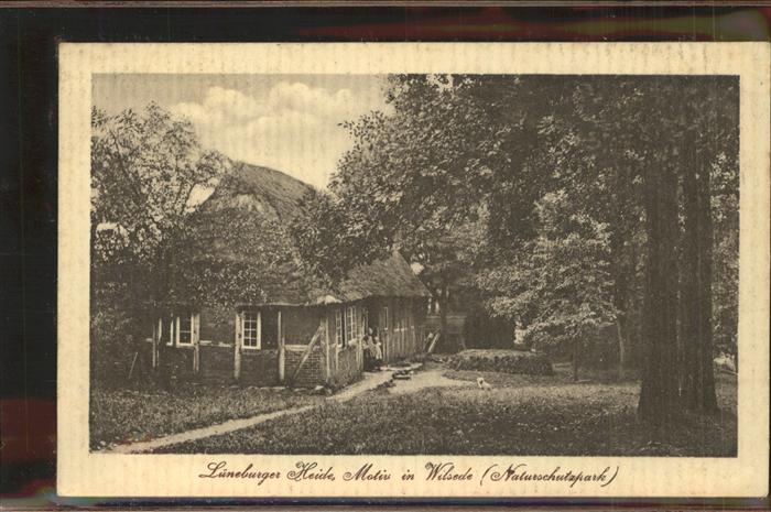 Lueneburger Heide Motiv in Wilsede Naturschutzpark