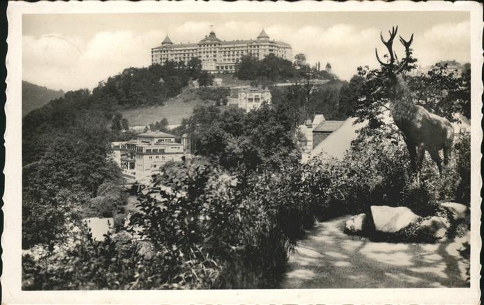 Karlsbad Eger Hotel Imperial mit Gasbad Hirsch
