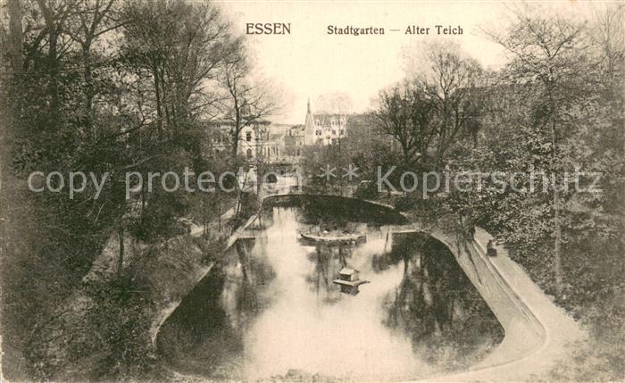 Essen  Ruhr Stadtgarten - Alter Teich