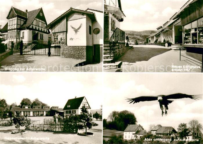 Berlebeck Adlerwarte Eingang Kaefighaus