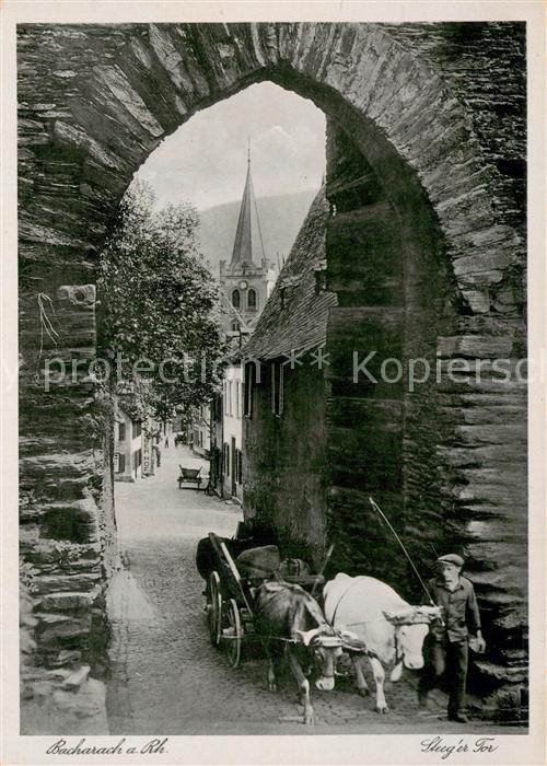 Bacharach Rhein Steeger Tor Ochsen-Gespann