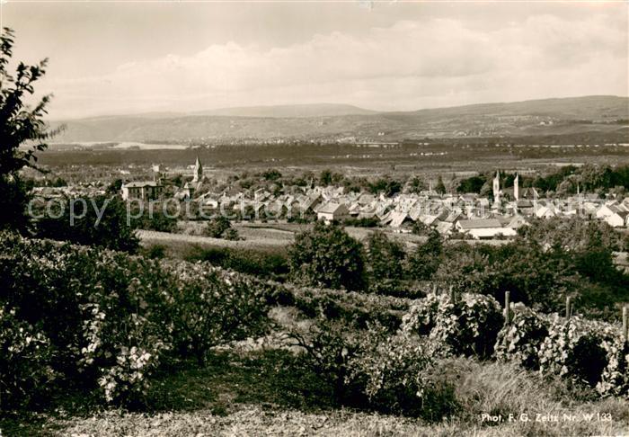 Bingen Rhein Niederingelheim