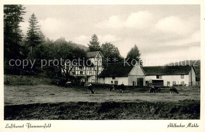 Hammersfeld Ahlbacher Muehle Aussenansicht Kuhweide