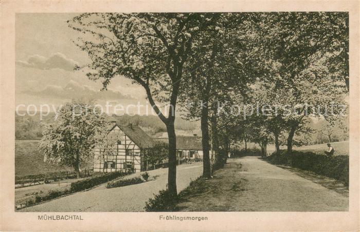 Muehlbachtal Essen Fruehlingsmorgen Fachwerkhaus