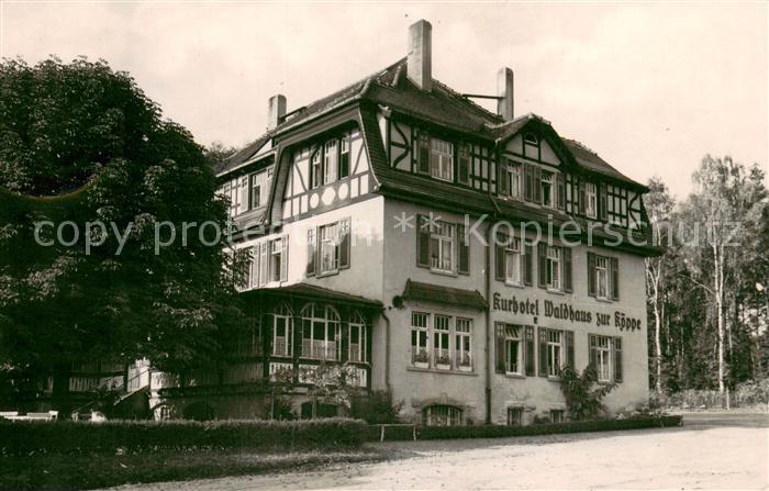Bad Klosterlausnitz Kurhotel Waldhaus zum Koeppe Aussenansicht