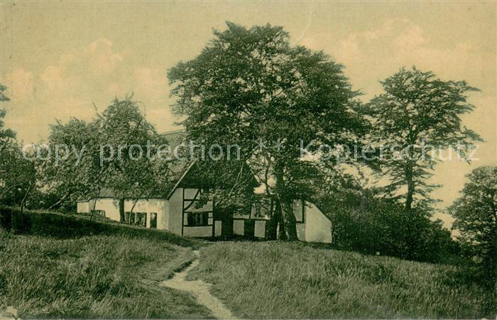 Baldeneysee Sommermorgen in Baldeney