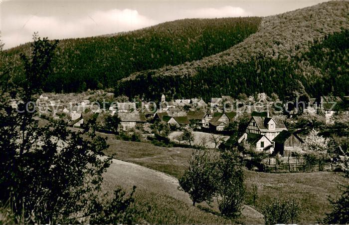 Ziegenhagen Witzenhausen Gesamtansicht Sommerfrische