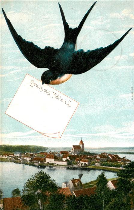 Moelln  Lauenburg Grusspostkarte Teilansicht
