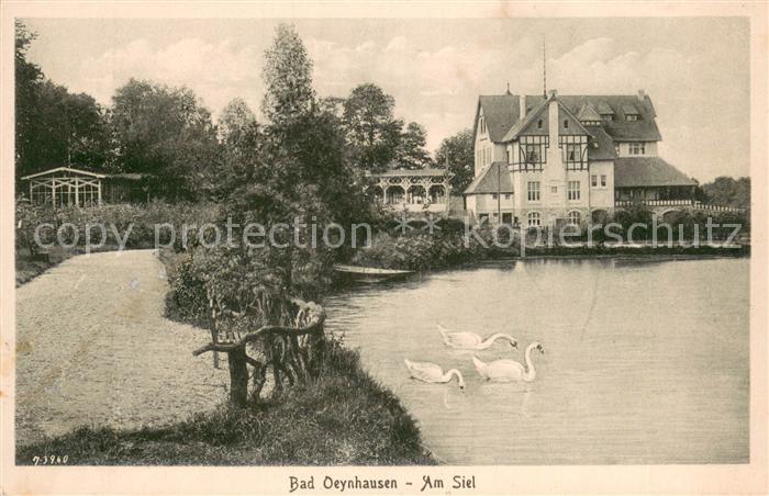 Bad Oeynhausen Am Siel mit Schwaenen