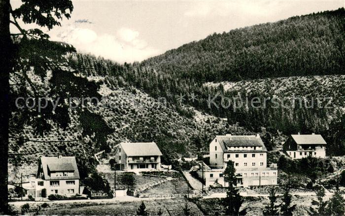 Wildemann Harz Goslar Niedersachsen Teilansicht am Berg