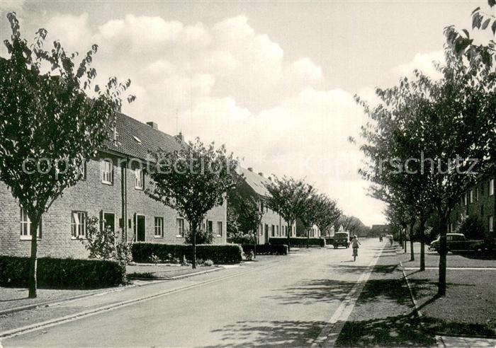 Toenis St Kirchenfeld