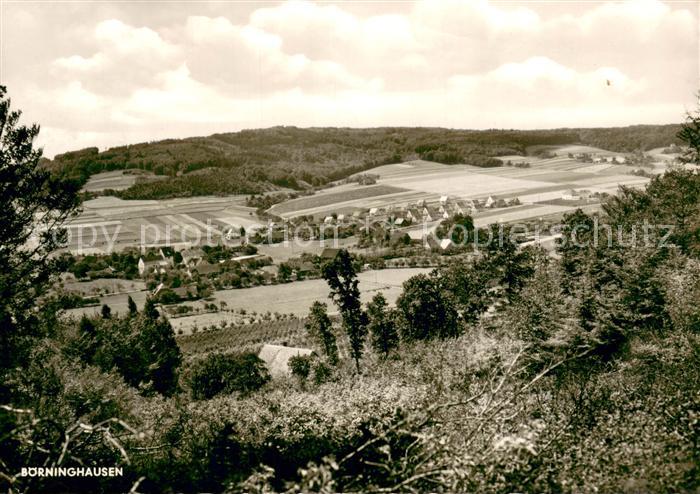 Boerninghausen Teilansicht