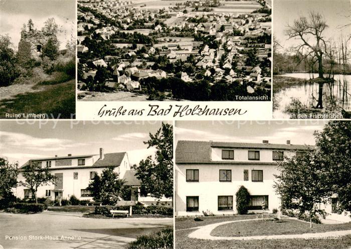 Bad Holzhausen Luebbecke Totalansicht Fischteich Gartenansicht Ruine-Limberg