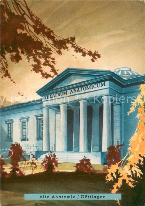 Goettingen Herberhausen Alte Anatolmie